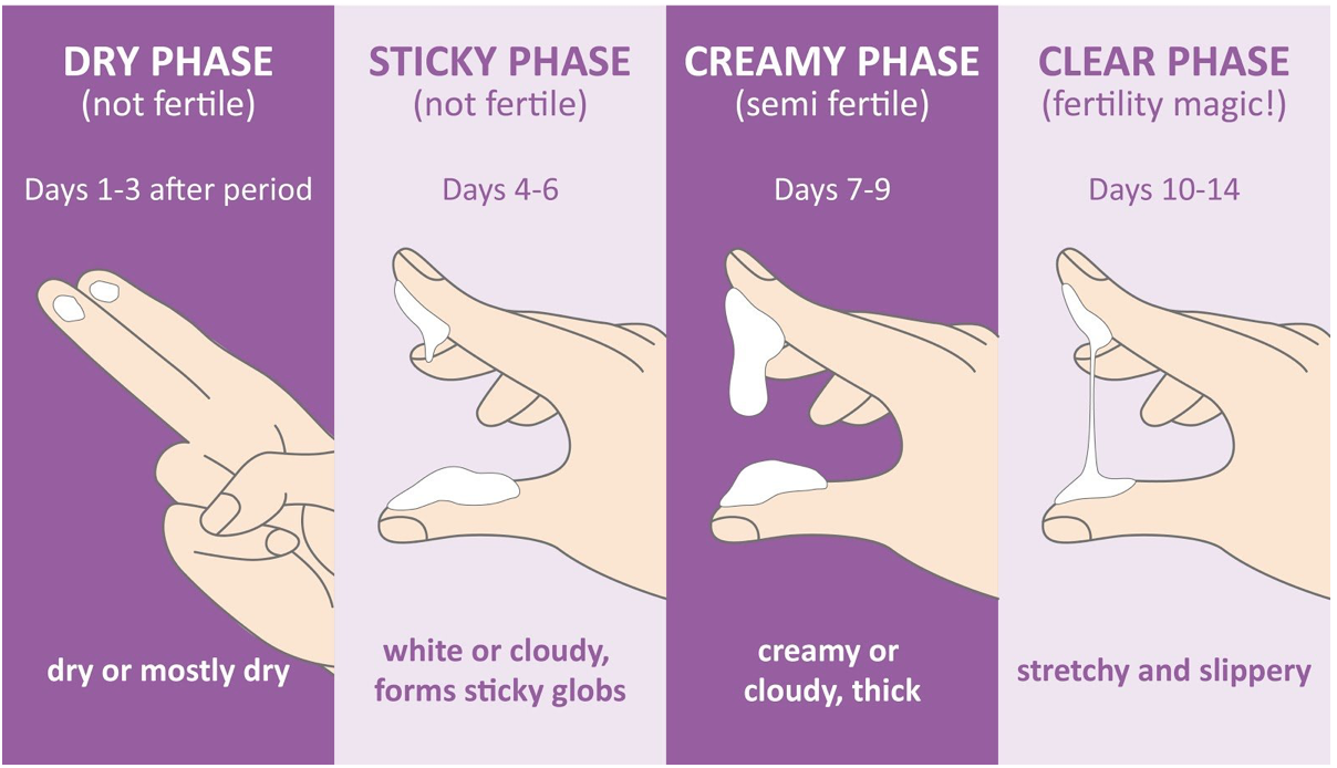 cervical mucus