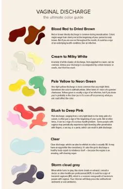 colour-chart-cervical-mucus